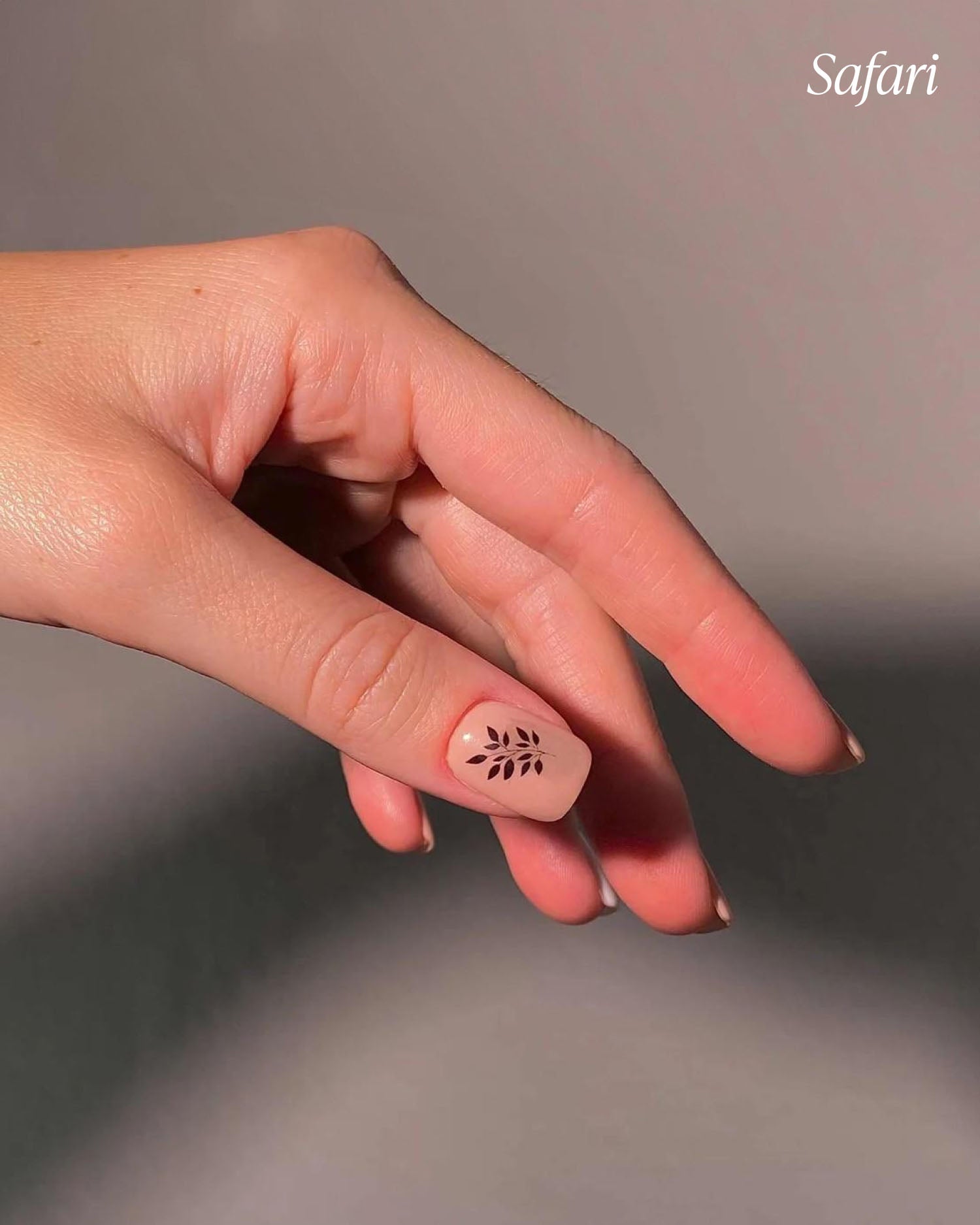 Water Tattoo Bundle (Magic, Safari & Venice) - Doonails US