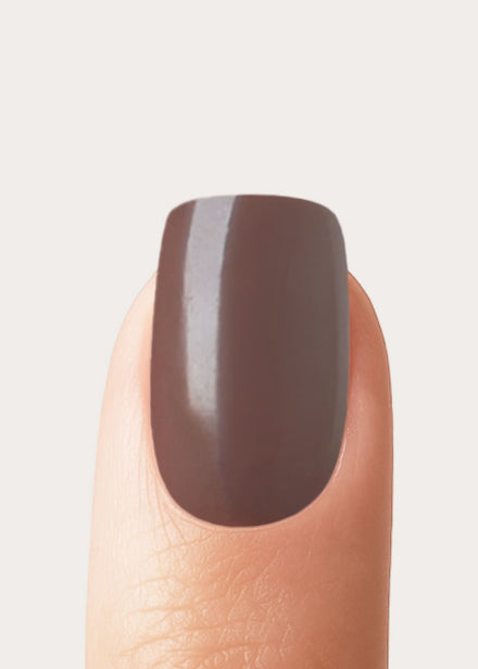 Truffle