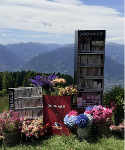 Doonails in the Alps